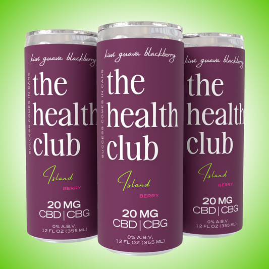 Island Berry | 20mg CBD/CBG Kiwi Guava Blackberry Seltzer
